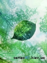 Beauty by Katrin | 240*320