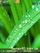 Green by _DK_SAN_ | 240*320