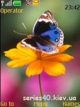 Butterflies By Mix | 240*320