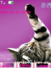 Whiskas | 240*320