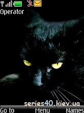 Black Cat by _DK_SAN_ | 240*320