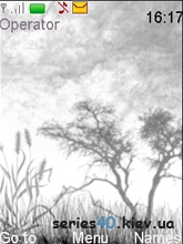 Blaack and White | 240*320