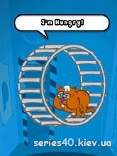 LabHamster | 240*320