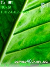 Abreen by Philips | 240*320