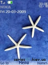 Star | 240*320