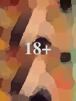 X-find Gina | 240*320