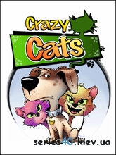 Crazy Cats | 240*320