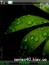Leaves by SimriZe | 240*320