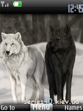 Wolf by KPuTuK | 240*320