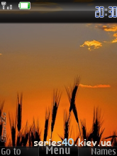 Sunset by SimriZe | 240*320