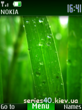 Grass by Ramon_ua | 240*320