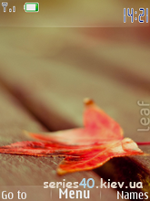 Leaf by Playman | 240*320