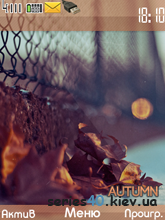 Autumn by SyxaPb | 240*320