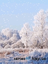 Winter logoes by kolьka_dinho | 240*320