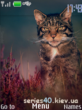 Cat By Sinedd | 240*320