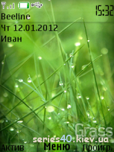 Grass by KoB6aCa | 240*320