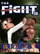 The Fight 3D | 240*320