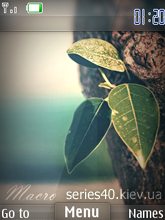 Macro [by SashaG] | 240*320