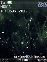 Grass by Ego | 240*320