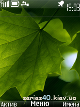 Leaf by siriosca |  240*320