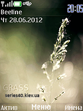Grass by koshac | 240*320