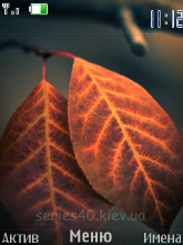 Autumn Leaves by Dr. ZiP | 240*320