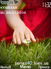 LG G2 | 240*320