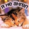аватар