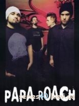PAPA ROACH & KORN | 240*320