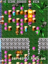 Bomberman 3D 2009 | 240*320