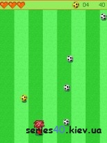 FootballZ 2009 | 240*320