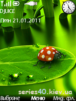 Green Themes by Andriy_11 | 240*320