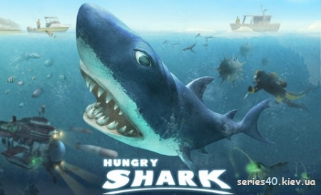 Hungry Shark | 240*320