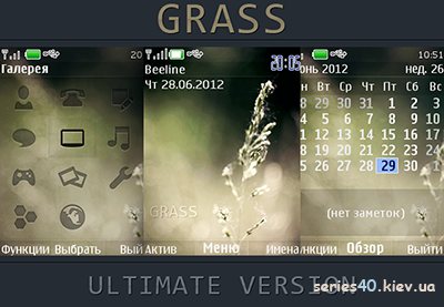 Grass by koshac | 240*320