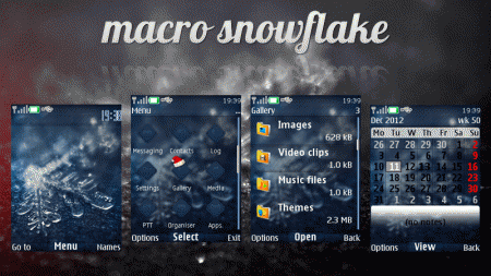 Macro Snowflake | 240*320