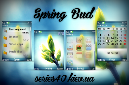 Spring Bud by KoB6aCa & Leo | 240*320