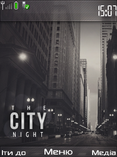 The city night | 240*320
