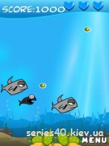 Homing Fish | 240*320