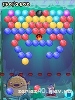 Bubble Frenzy | 240*320